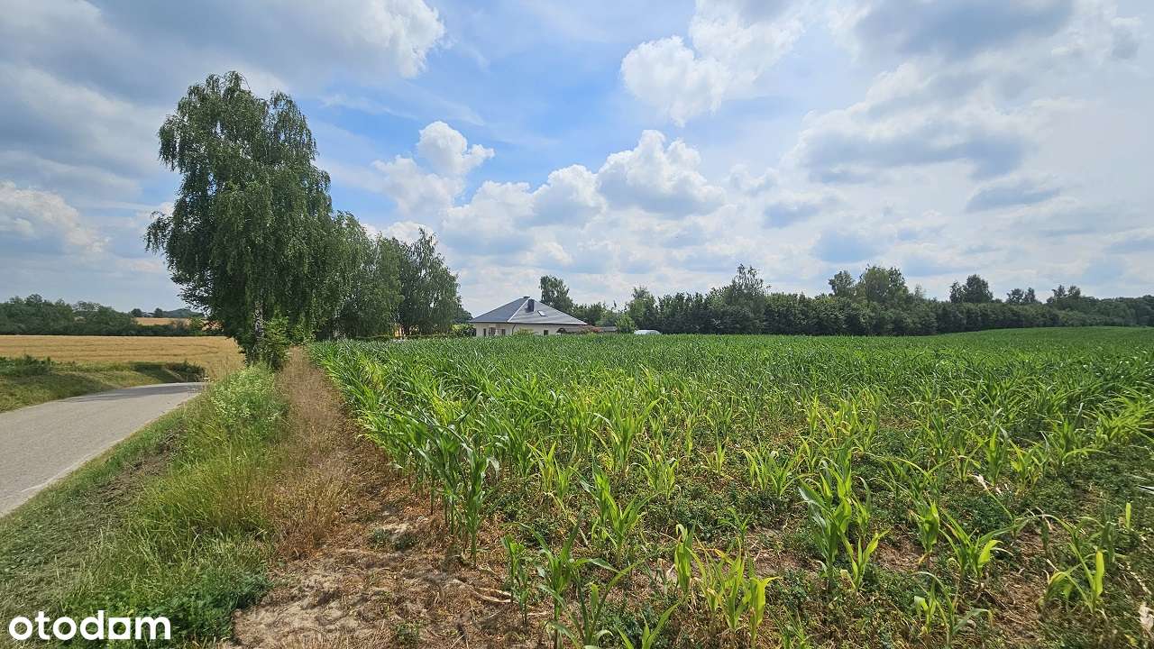 OSTATNIA już działka na sprzedaż pod miastem -ŚPIESZ SIĘ. - Pełny obrazek: 5/10