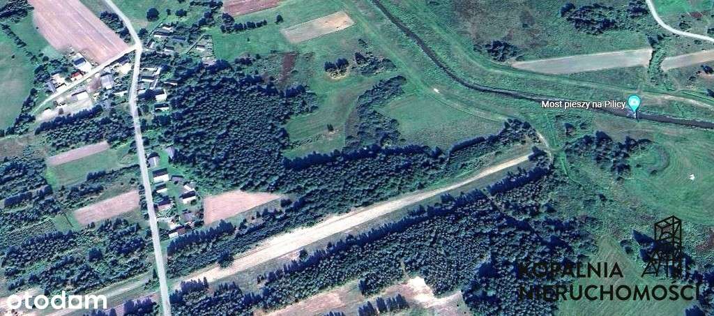 Działki rolne i tereny leśne/Wąsosz/Koniecpol! - Pełny obrazek: 1/19