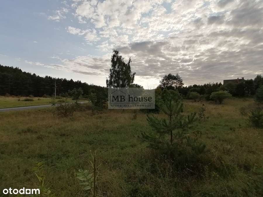 Atrakcyjna działka w Wisełce! - Pełny obrazek: 4/4