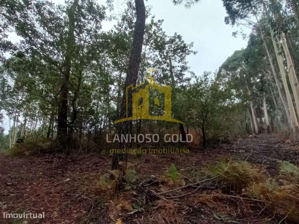 Terreno Florestal em Cunha, Paredes de Coura - 3.150 m²-7