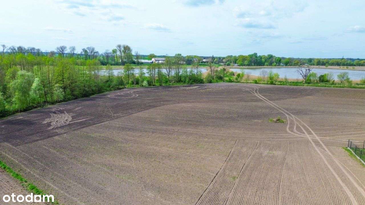 Działka z Ścianą LASU oraz Widokiem na ROZLEWISKA - Pełny obrazek: 5/5