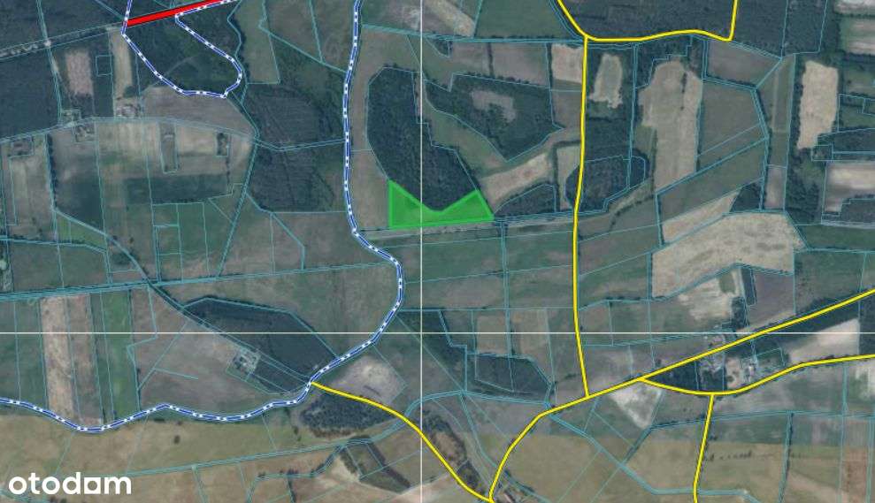 Działka rolna łąka Biernatowo - Pełny obrazek: 2/3