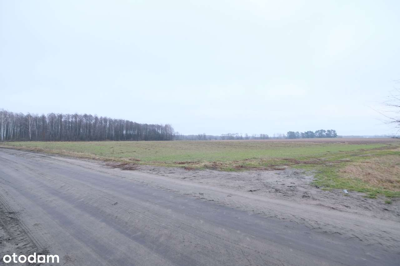 *5,4 ha przy lesie - podzielone na działki - inwestycja*-3