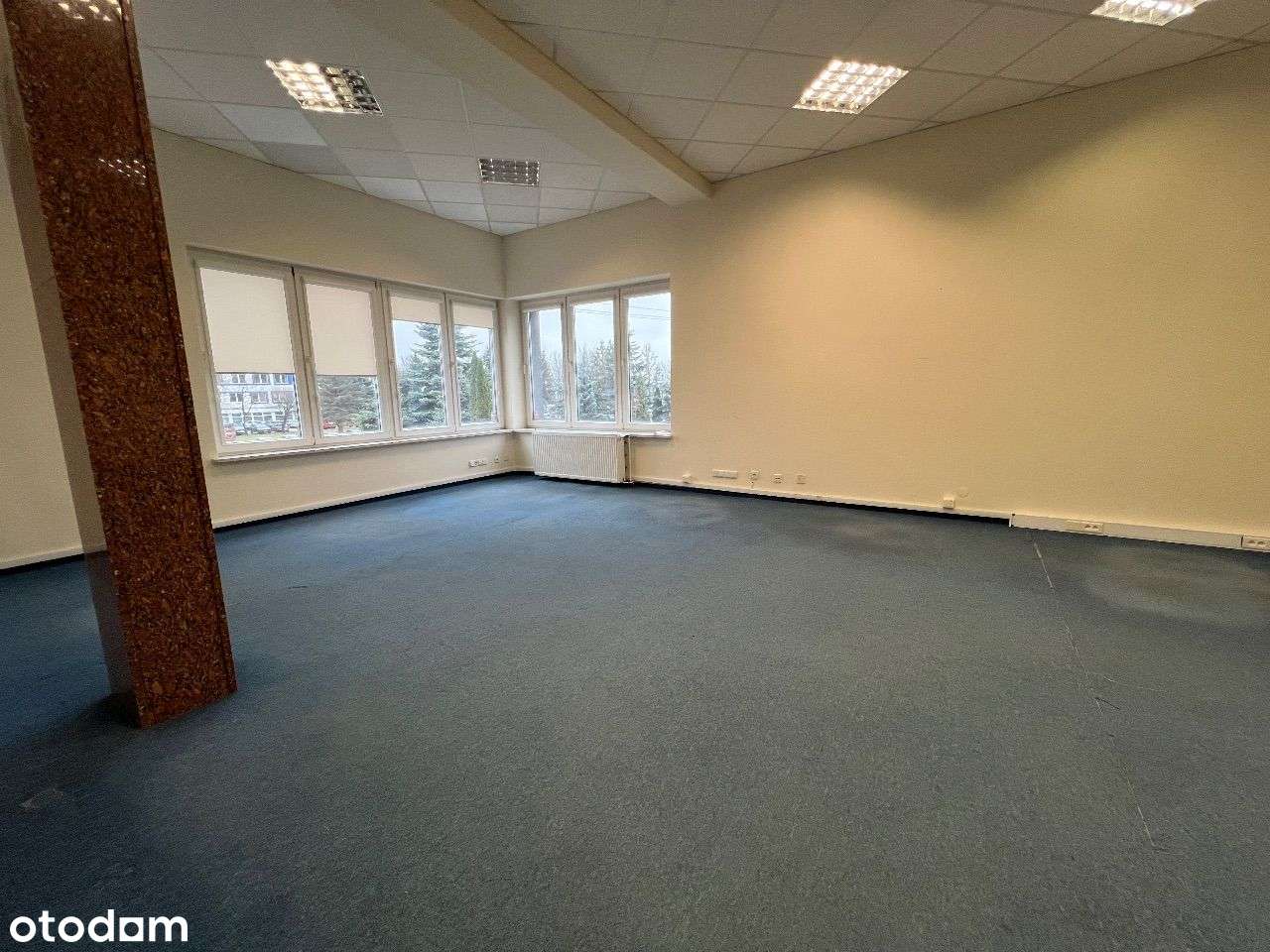 Lokale biurowe do wynajęcia, różne metraże Ełk - Pełny obrazek: 5/7