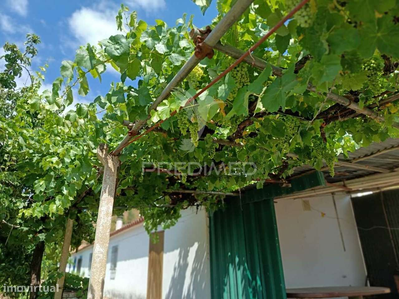 Monte Alentejano com Terreno e Infraestruturas – São Barnabé, Almod... - Grande imagem: 5/33