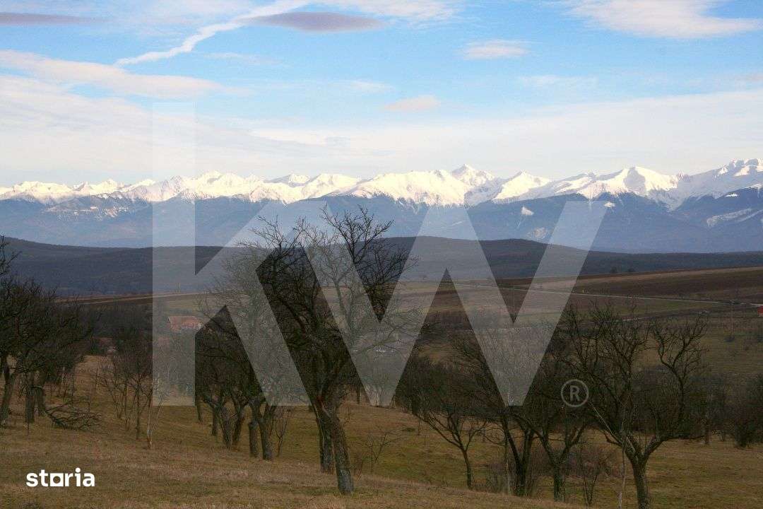 Teren de vanzare in Daia, Sibiu – 600 mp, priveliste superba spre mu - Imagine principală: 4/5