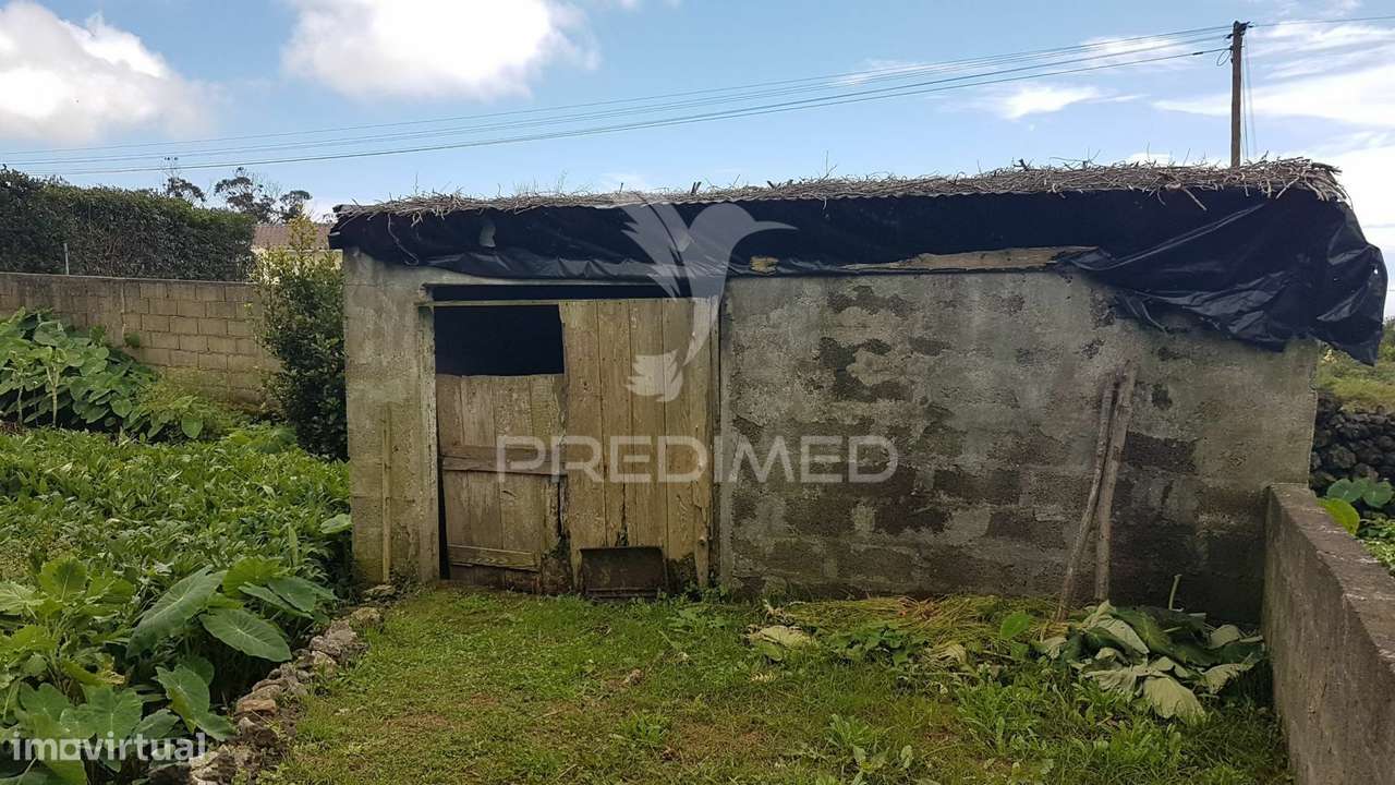 Refúgio Rural com Pomar e Casa de Apoio - Grande imagem: 3/16