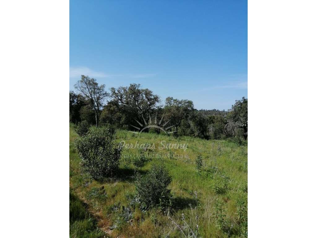 Terreno Rústico - Grande imagem: 4/16