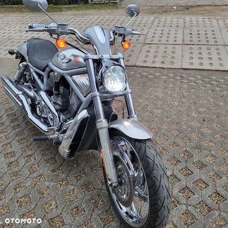 Harley-Davidson V-Rod Street Rod - 5