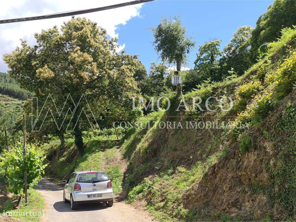 Olival de Presas - Grande imagem: 2/8