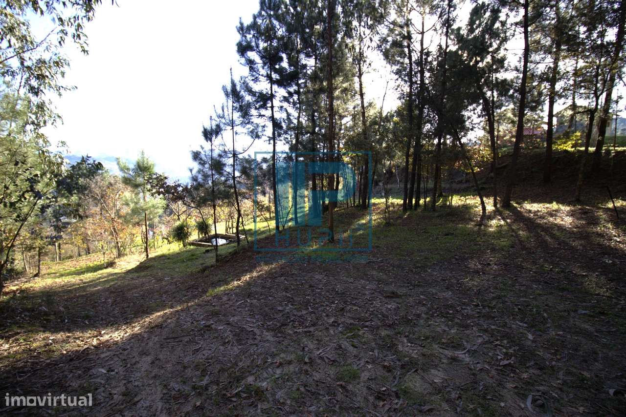 Quinta T3+1 Venda em Penhalonga e Paços de Gaiolo,Marco de Canaveses-35