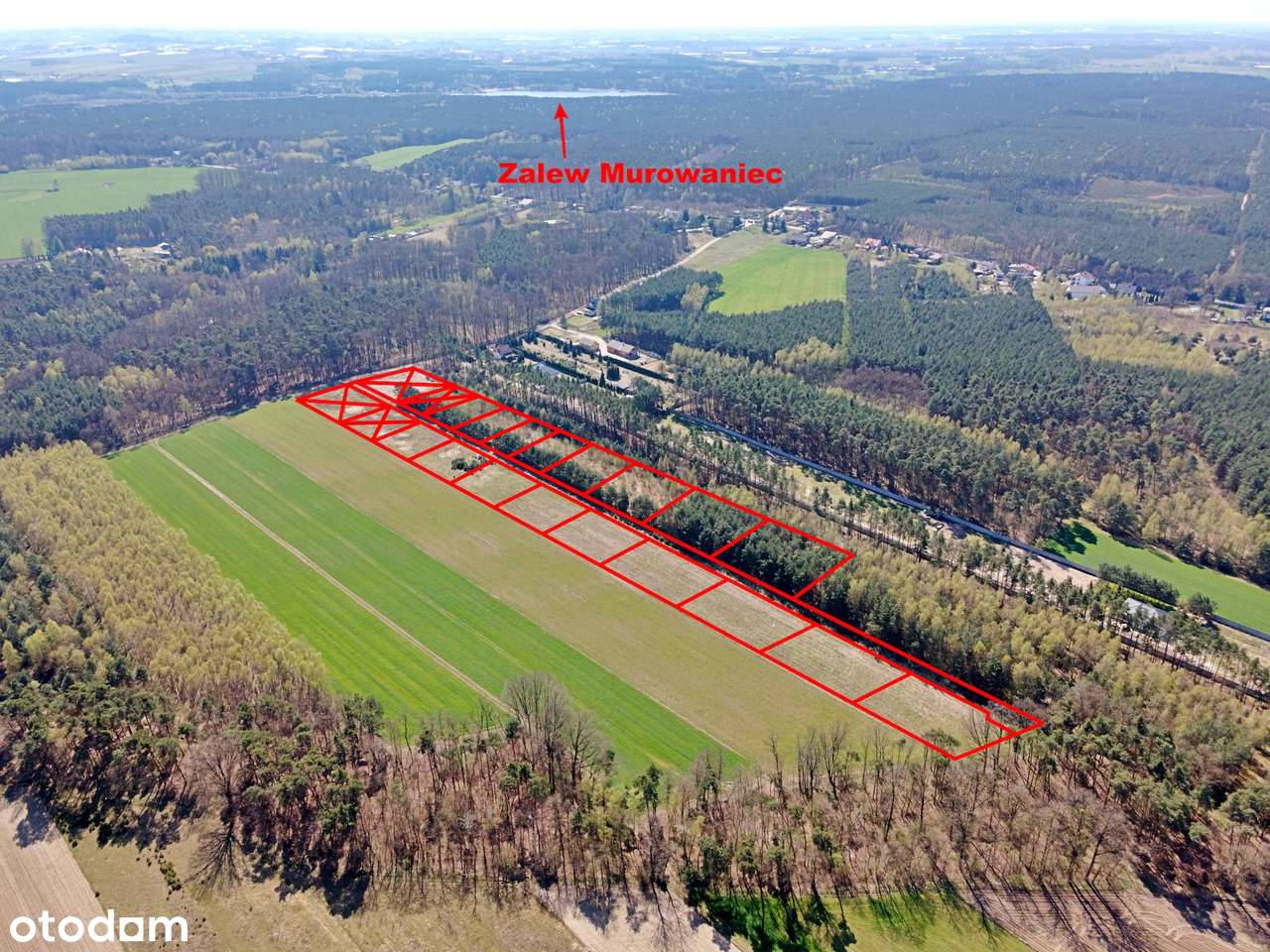 Działki budowlane pod lasem – Młynisko gm. Koźminek-5