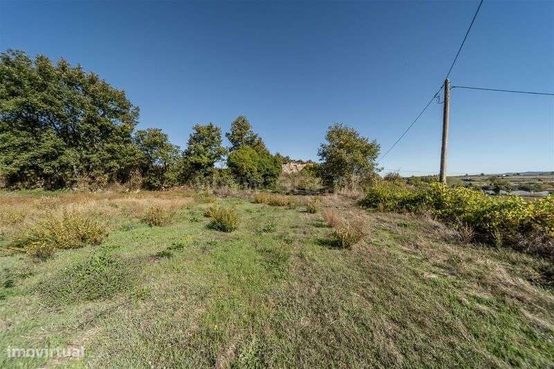 Herdade T6 / Covilhã, Boidobra-9