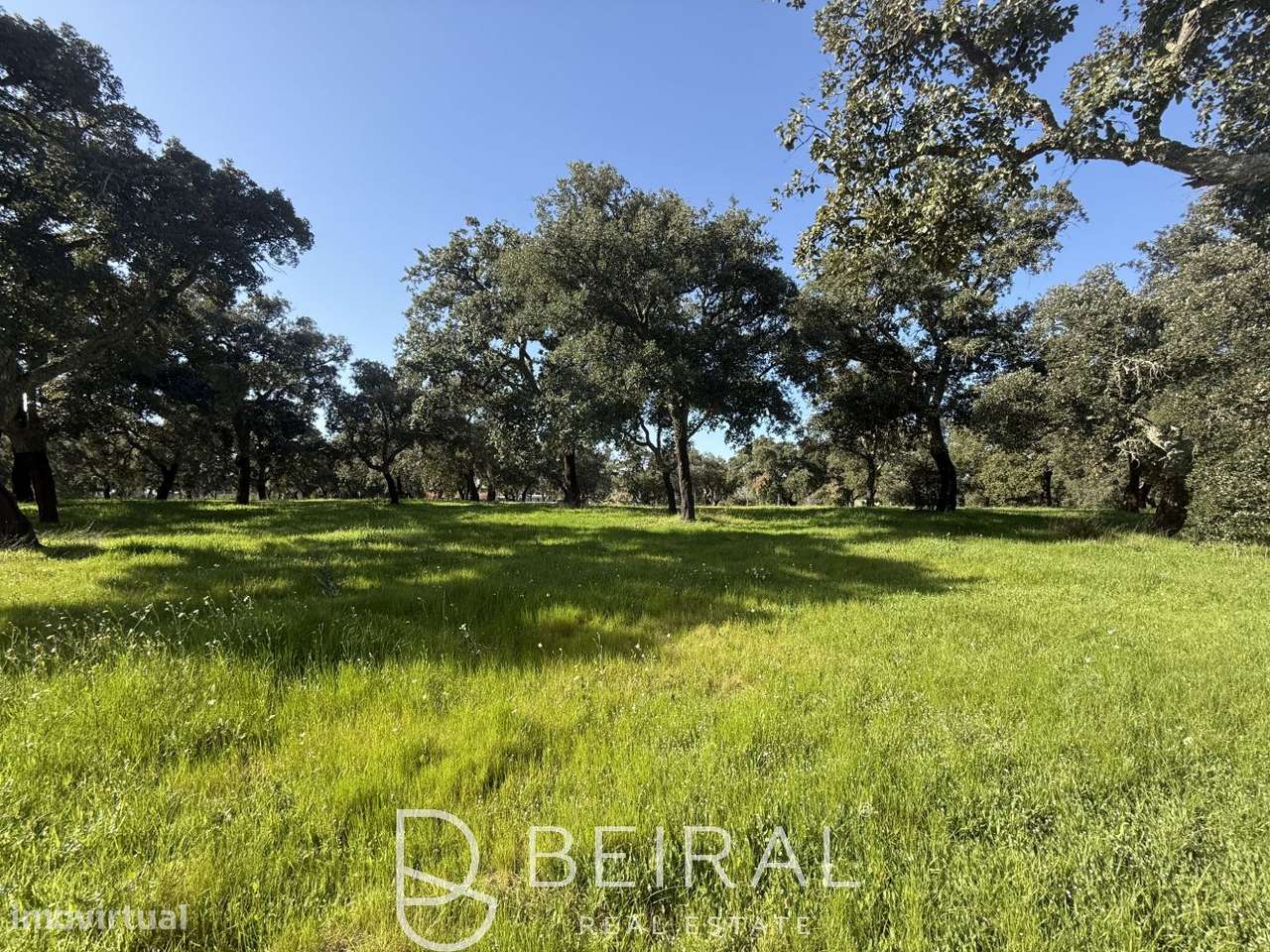 TERRENO DE PRESTÍGIO FRENTE AO LAGO NO GOLF DE SANTO ESTÊVÃO-10
