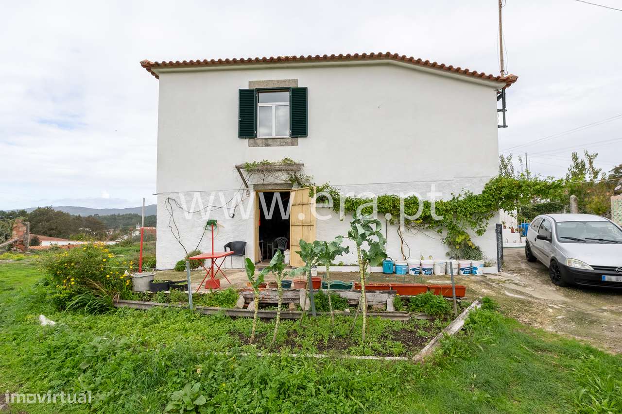 Onde a Visão Encontra a Natureza-4