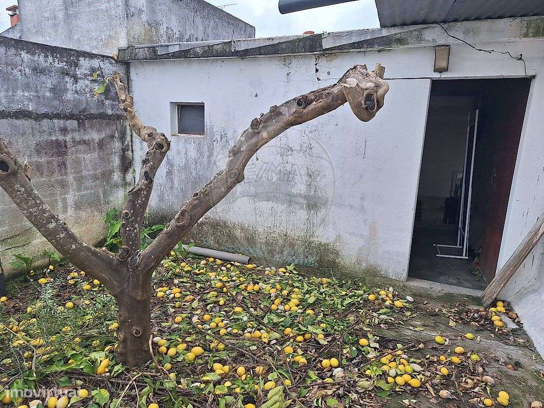 Loja  para venda - Grande imagem: 4/4