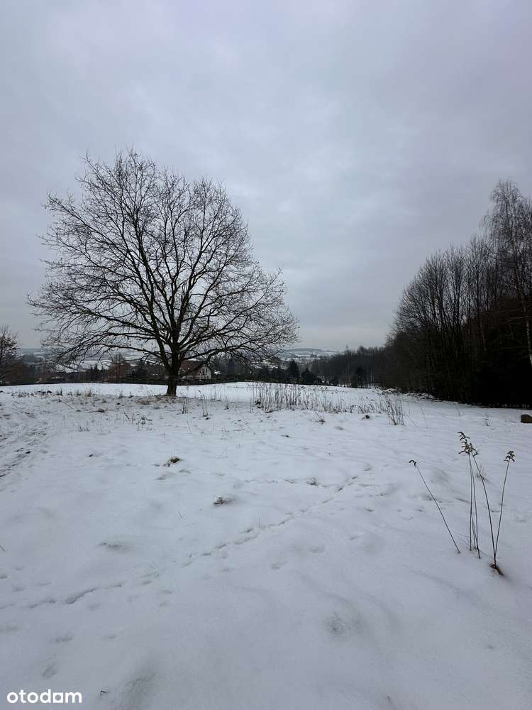 Duża działka pod lasem - Łazany blisko Wieliczki i Gdowa-6