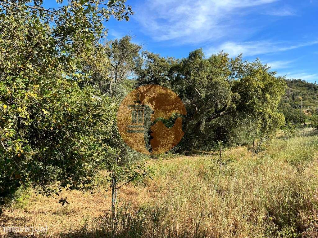 Terreno Rústico - Grande imagem: 5/11