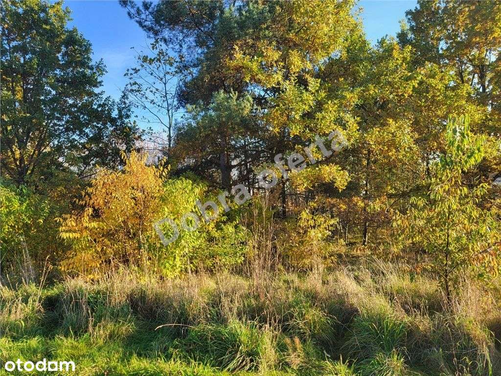 Nowa oferta - atrakcyjna działka w Mrozach - Pełny obrazek: 4/7