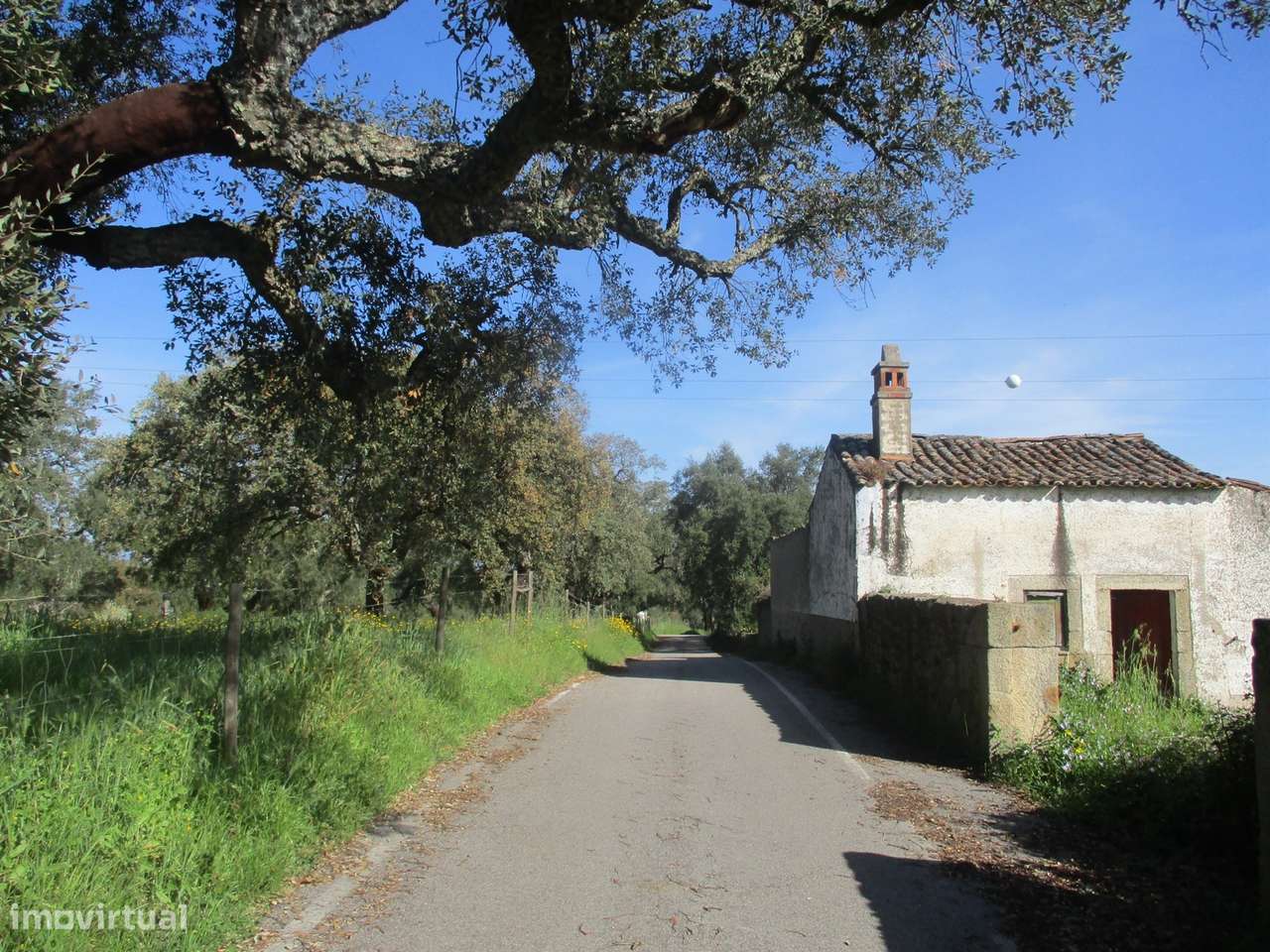 Quinta com habitação, poço, sobreiro, casa-8