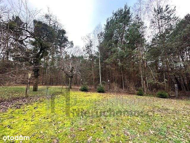 Dom, 174,78 m², Głusko Duże-Kolonia-12