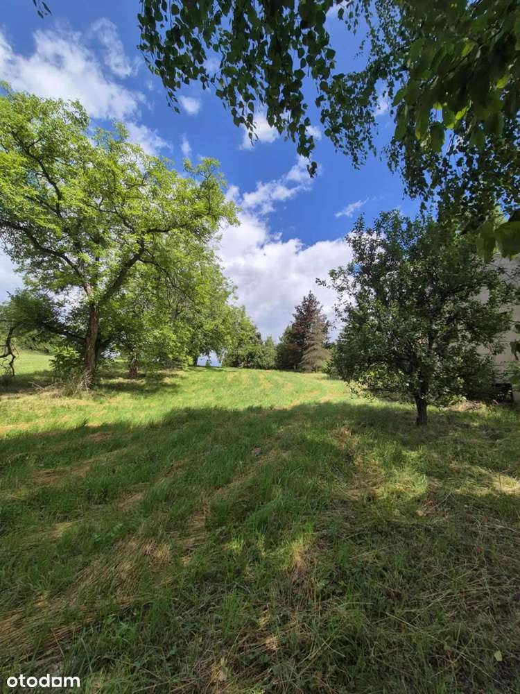 Działka budowlano-usługowa przy Cieszyńskiej-3