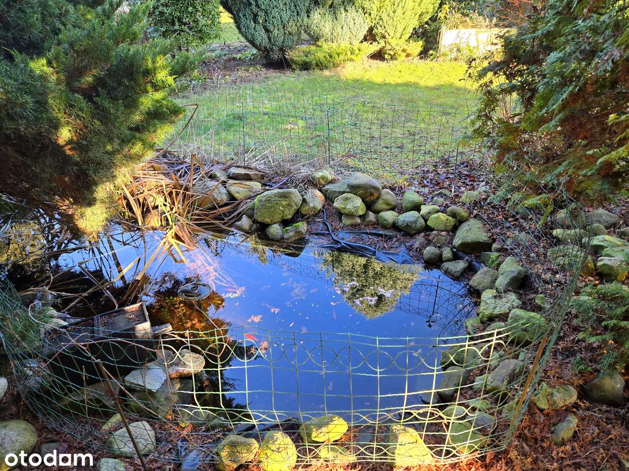 WZGÓRZA LGIŃSKIE, UL. PIWONIOWA-4