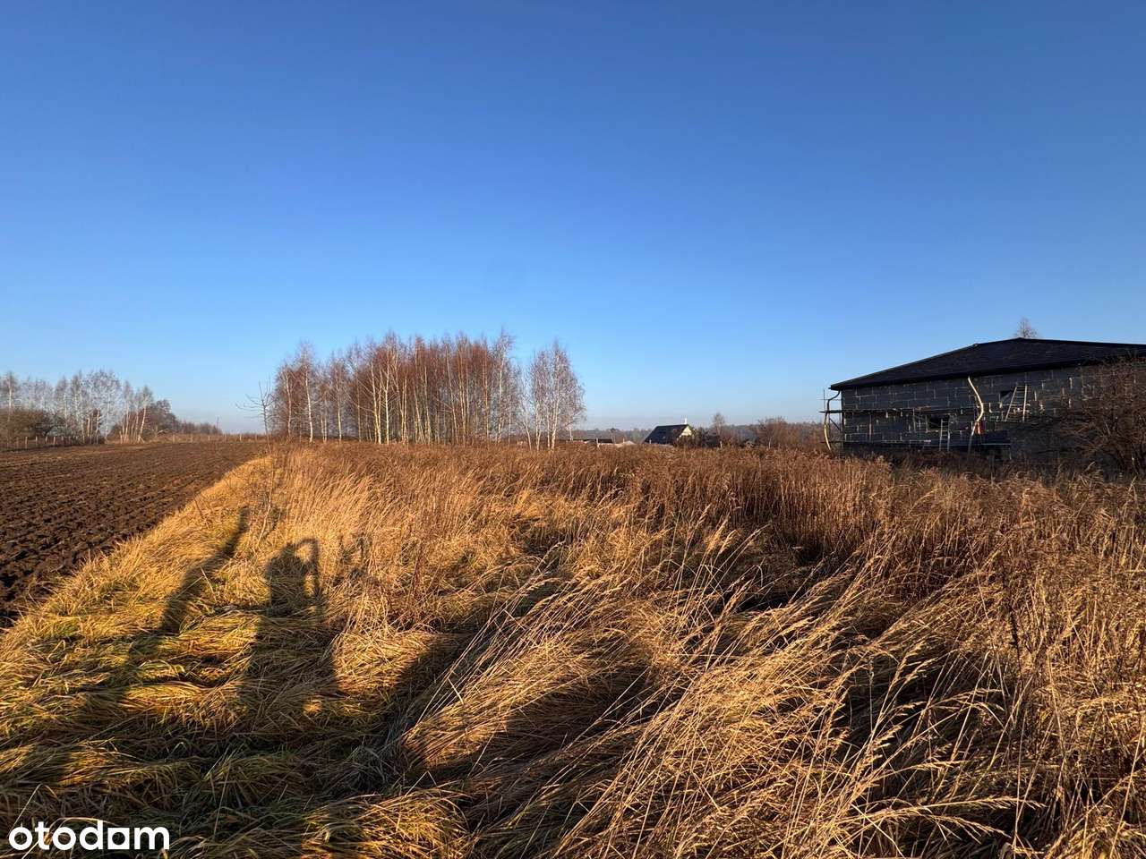 Duża działka budowlana szeroka 30m Okradzionów-2