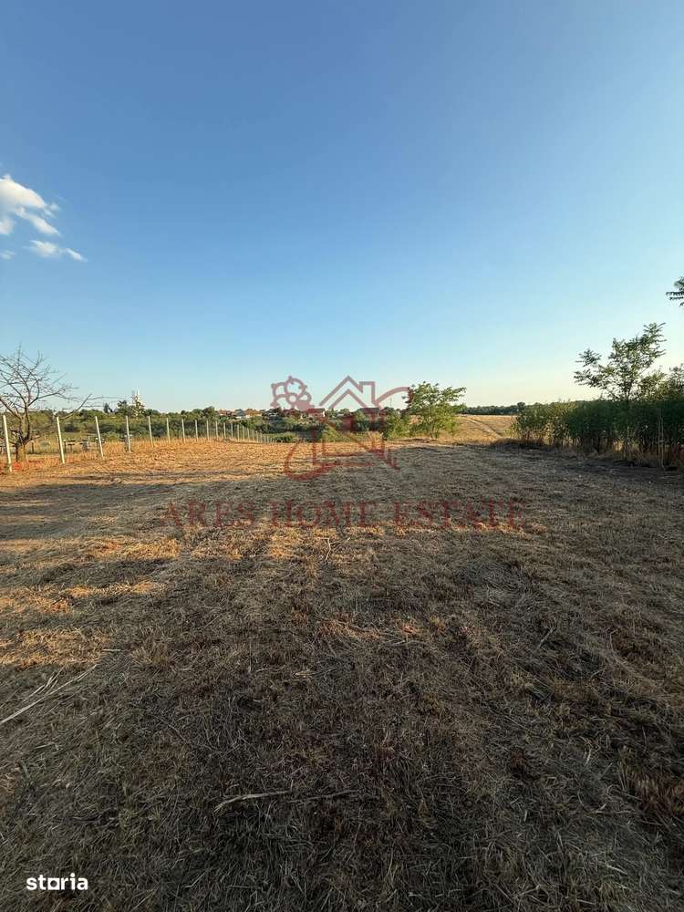 Teren intravilan 2.192 mp cu front 20 m – Seceani, Timiș-3