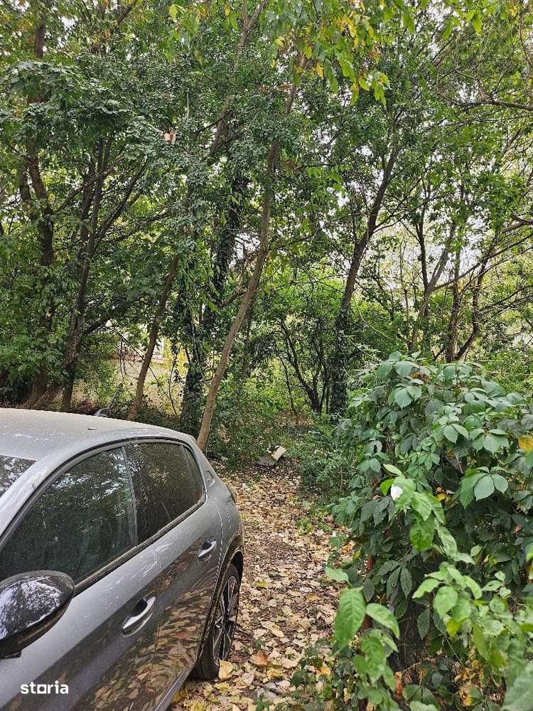 Titan Policlinica - Aleea Calistrat Hogas, zona rezidentiala-4