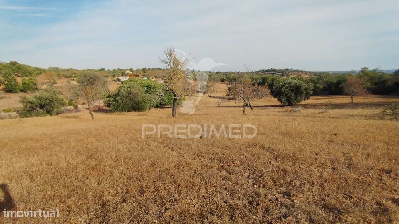 Terreno rustico vista mar Alcaria Cova Estoi - Grande imagem: 5/9