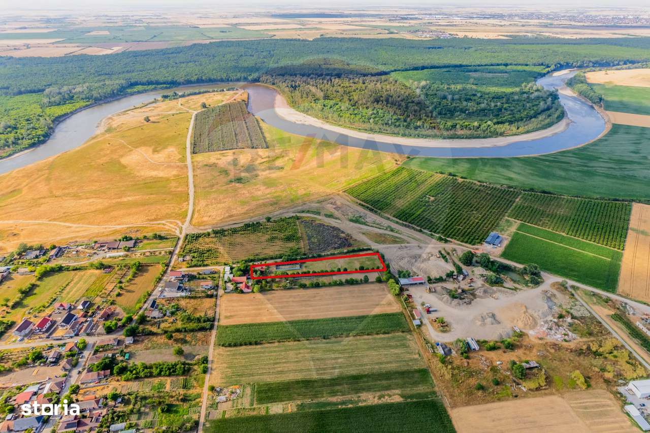 Teren intravilan de  4,000 mp in Zadareni - Imagine principală: 3/6