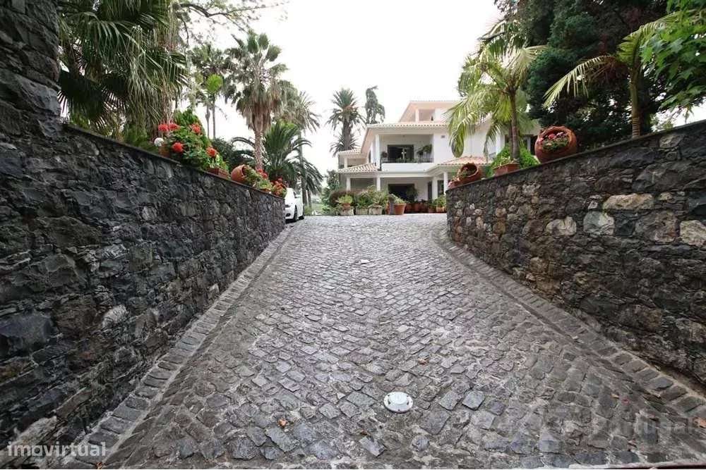 Viver com Elegância, Beleza Intemporal e Espaço Abundante: Uma Casa Se - Grande imagem: 2/38