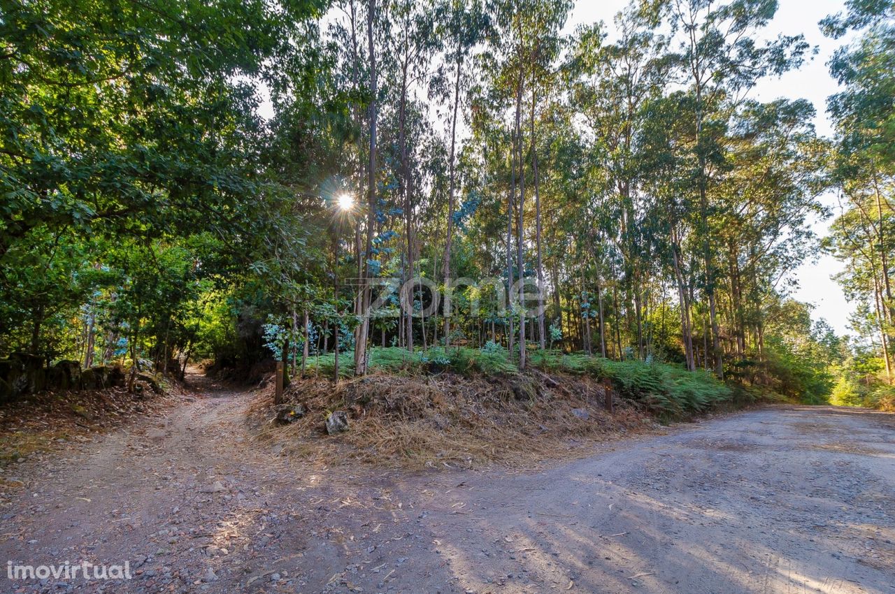 Terreno Rústico com 13.470 m2 em Monte Córdova - Santo Tirso