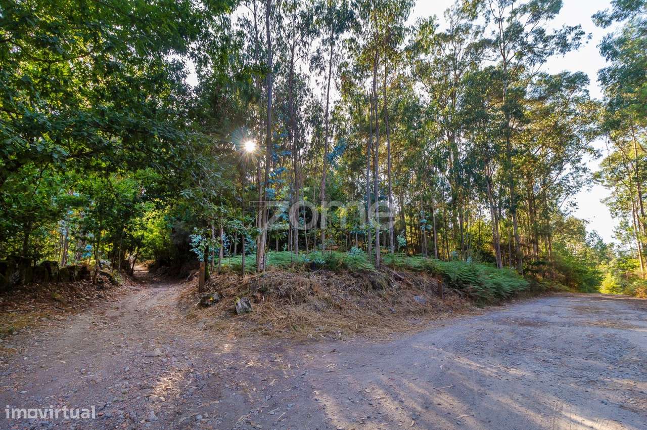 Terreno Rústico com 13.470 m2 em Monte Córdova - Santo Tirso - Grande imagem: 3/6