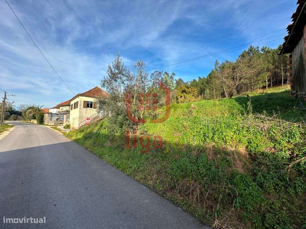 Terreno C/Viabilidade de construção! - Grande imagem: 4/6