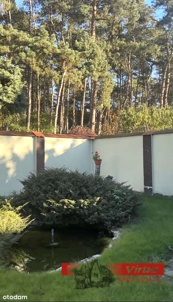 dome przy ścianie lasu-15