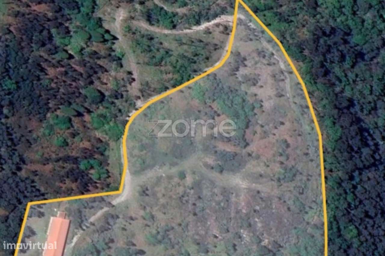 Terreno Rústico em Terras de Bouro - Grande imagem: 5/5