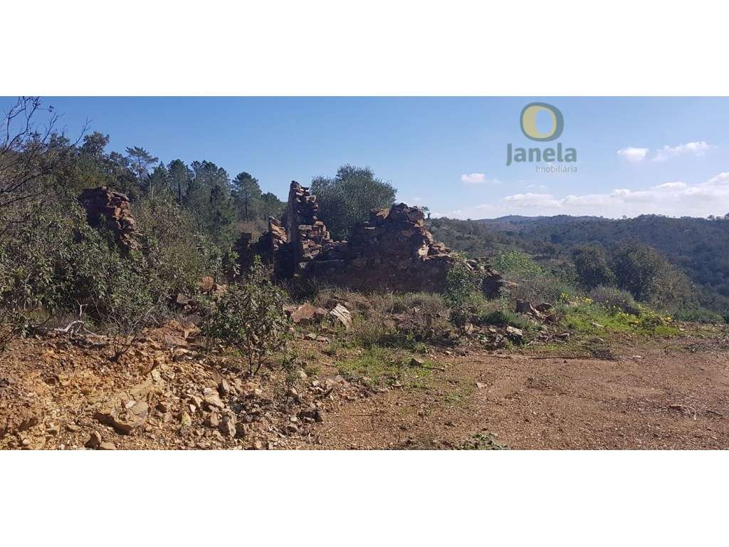 Terreno com 3 hectares e urbano de 1892 m2 para construir moradia - Grande imagem: 4/10