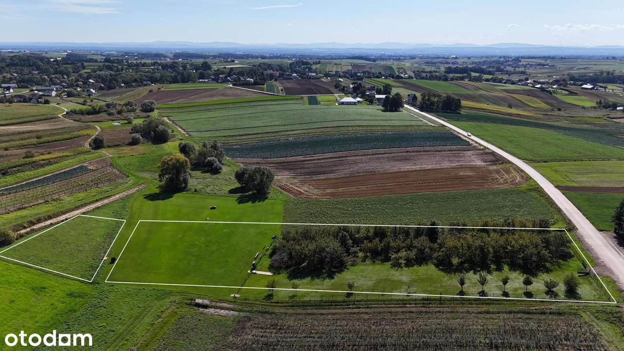 Nieruchomość z potencjałem inwestycyjnym - dom, hale, 1,42 ha ziemi-18