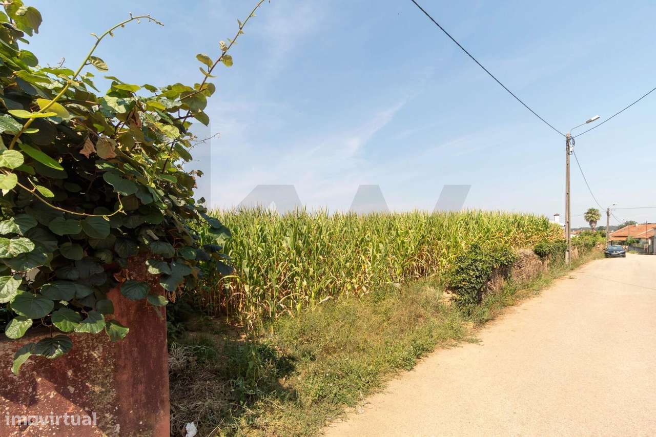 Terreno Estratégico Próximo da A1 e A29-7