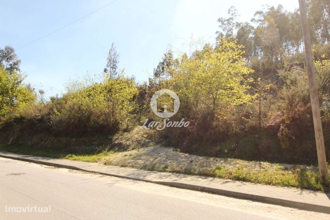 Terreno para loteamento Silvares S. Martinho Fafe-11