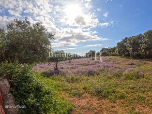 Quintinha de 2,4 hectares na Zebreiro