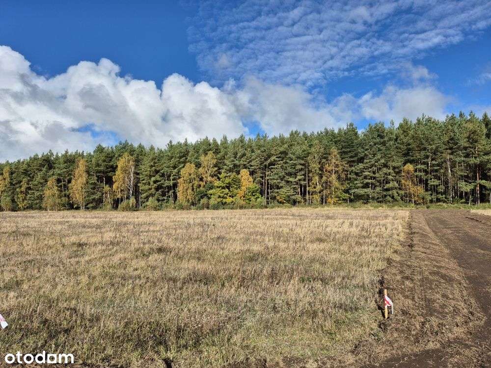 Działki Budowlane Przy Lesie Państwowym-2
