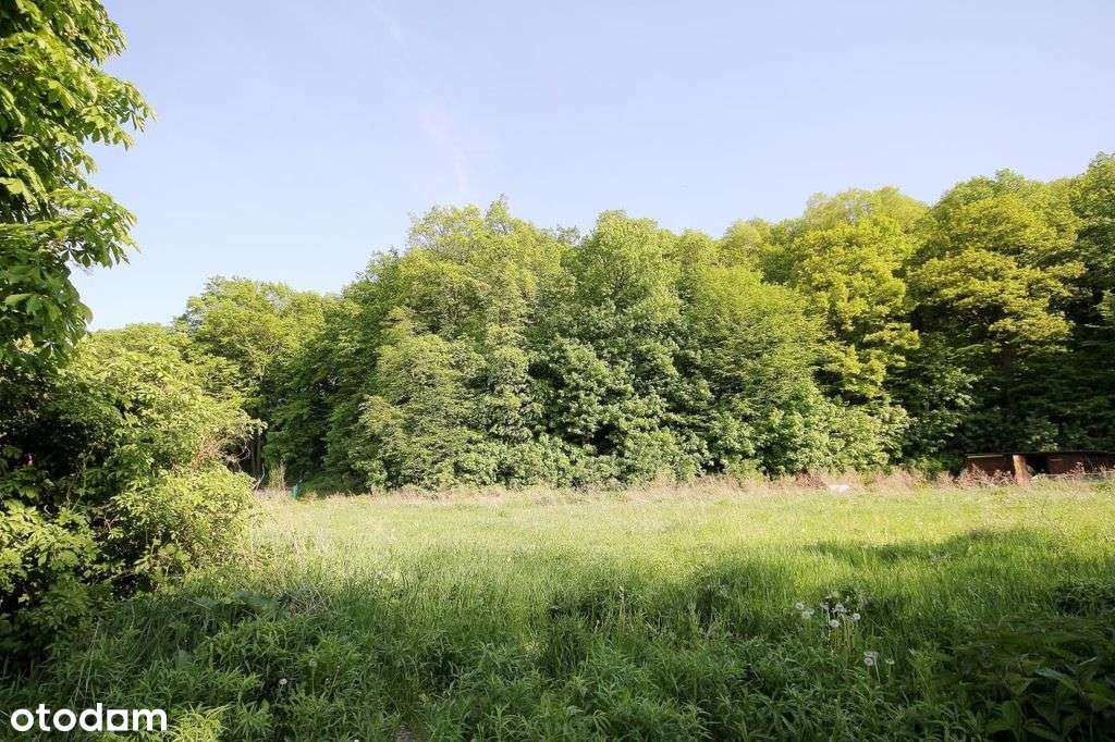 Wspaniała krajobrazowa działka budowlana - Pełny obrazek: 4/5