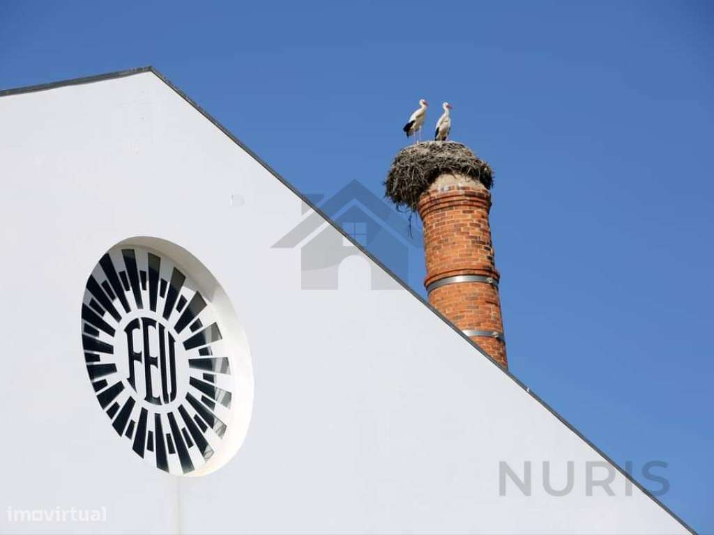 Moradia para Venda no Centro em Portimão-15