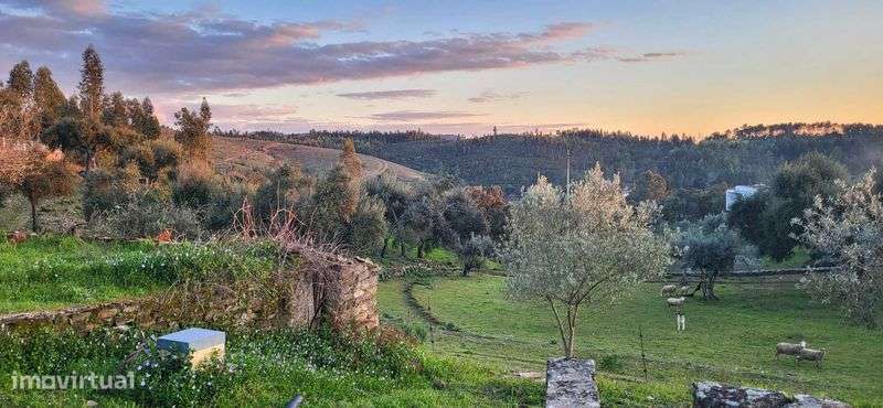 Casa em aldeia calma - Grande imagem: 4/6