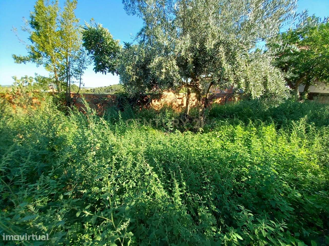 Moradia em Pousafoles - Grande imagem: 4/19