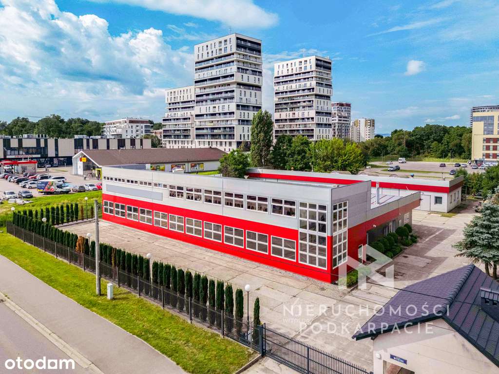 Hala produkcyjno-magazynowa 927 m² - Pełny obrazek: 4/20