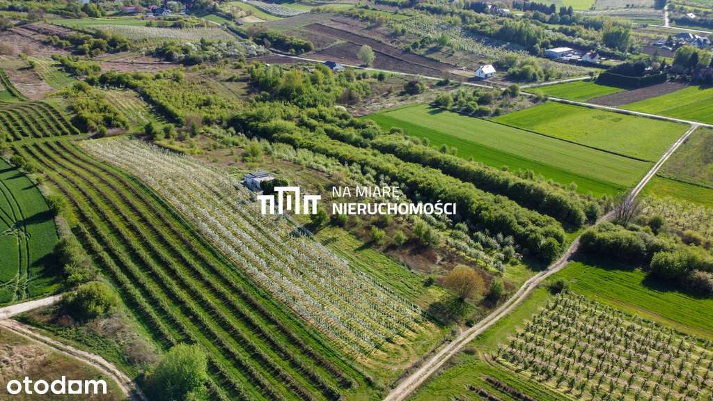 Działka w Sandomierzu | 37.9 a | Piękna okolica - Pełny obrazek: 2/9